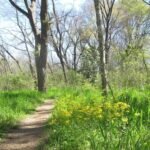 rowlett nature trail