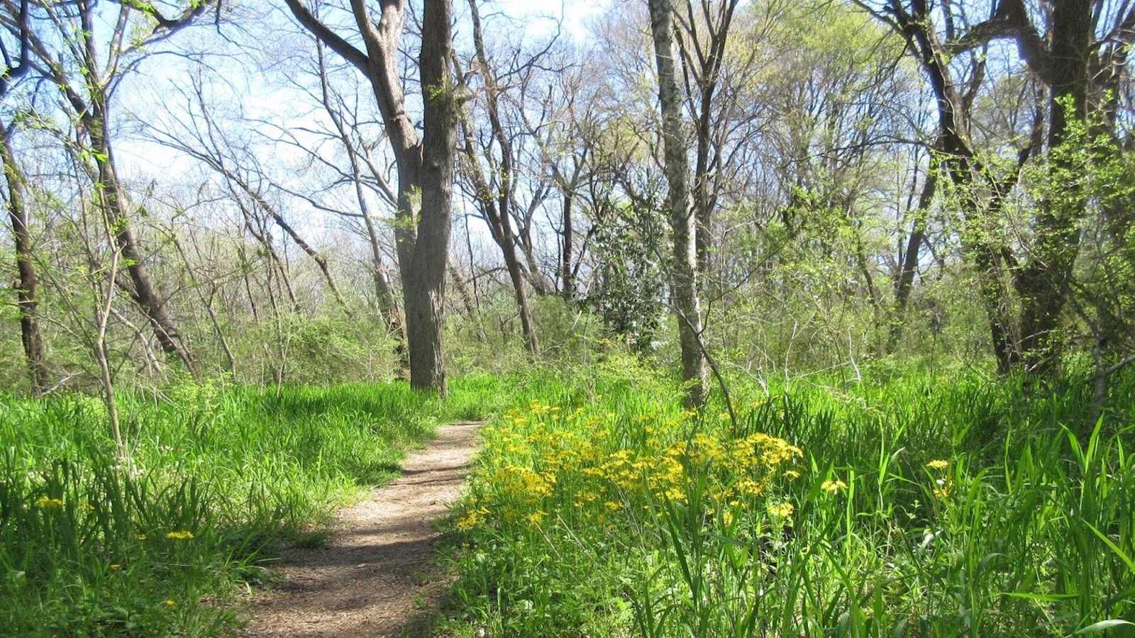 rowlett nature trail